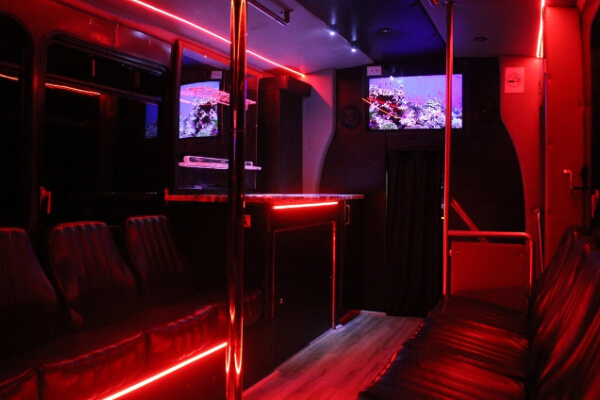 leather interiors