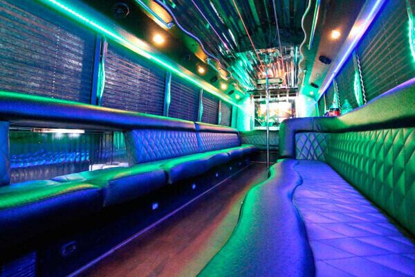 optic fiber lights