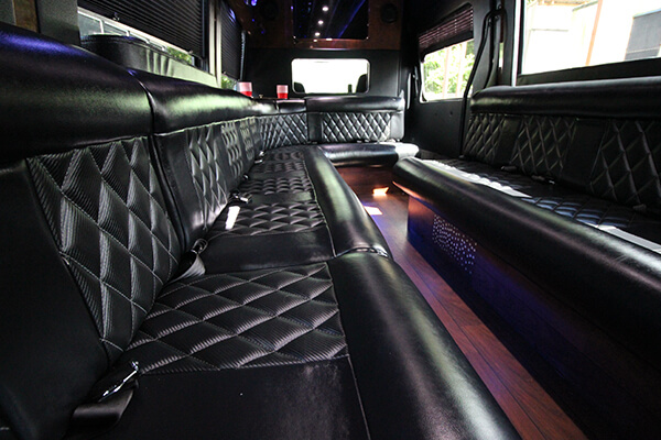 elegant limo buses