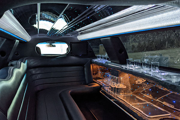 luxury party buses